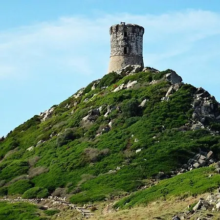 L'aiglon *